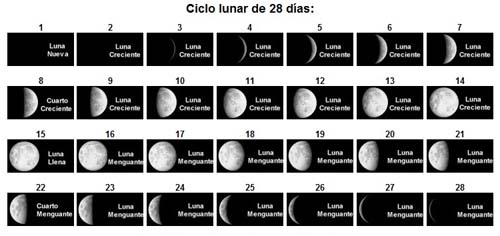 ciclo_lunar